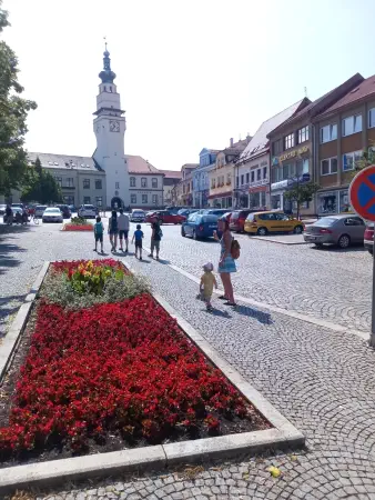 Obrázek v galerii