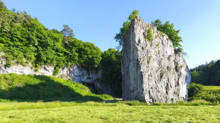 Obrázek v galerii