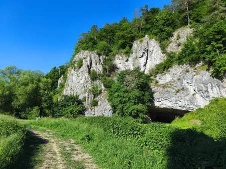 Obrázek v galerii