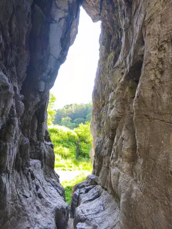Obrázek v galerii