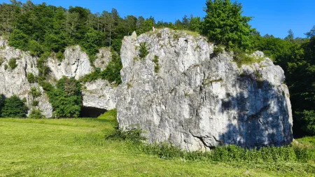 Obrázek v galerii