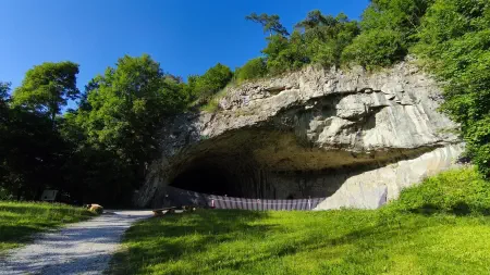 Obrázek v galerii