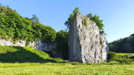 Obrázek v galerii