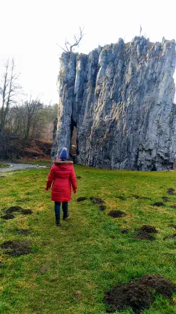 Obrázek v galerii