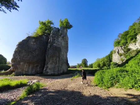 Obrázek v galerii