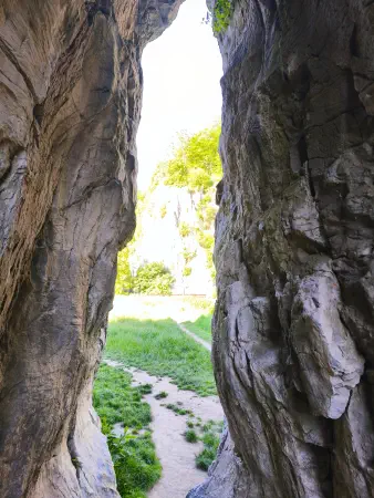 Obrázek v galerii