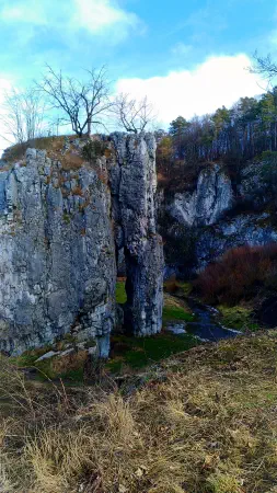Obrázek v galerii