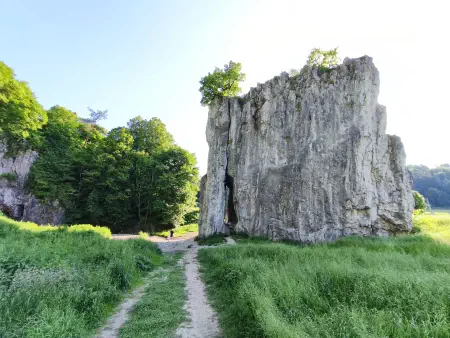 Obrázek v galerii