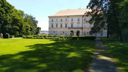 Obrázek v galerii