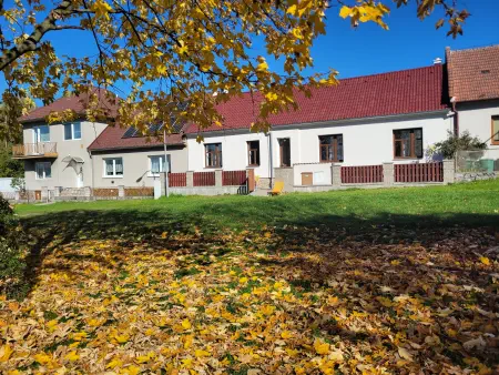 Obrázek v galerii