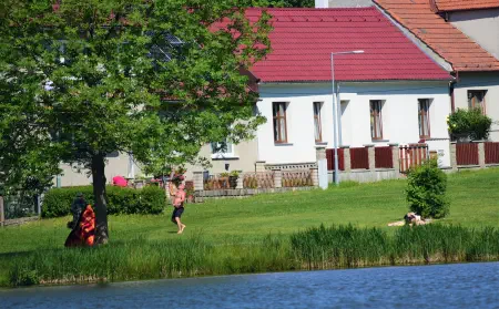 Obrázek v galerii